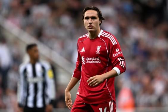 德甲,沃尔夫斯堡,主场不敌保,太阳城,太阳城娱乐,太阳城app,太阳城赌场