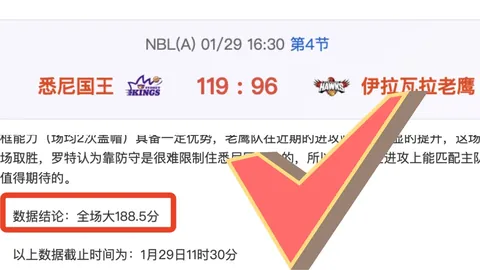 【NBA深度解析】独家揭秘：比赛结果与得分细节大剖析！