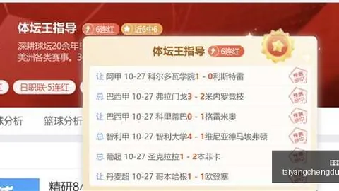 虚拟战队新加，太阳城app，盟，品牌赞助助战11
